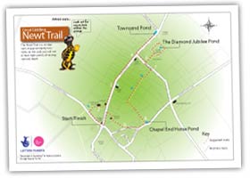 Great Gidding Newt Trail map
