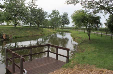 Townsend Pond after restoration