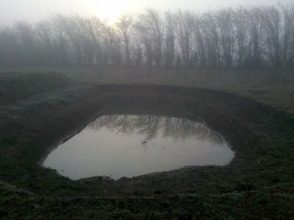 Foggy morning and the Jubilee pond. Photo: Michael Trolove