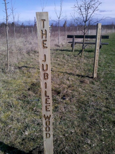 New sign for Jubilee Wood Great Gidding kindly created by Michael Trolove