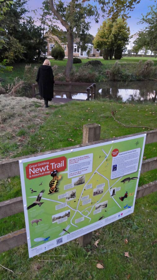 Newt Trail sign, Townsend Horse Pond, Great Gidding