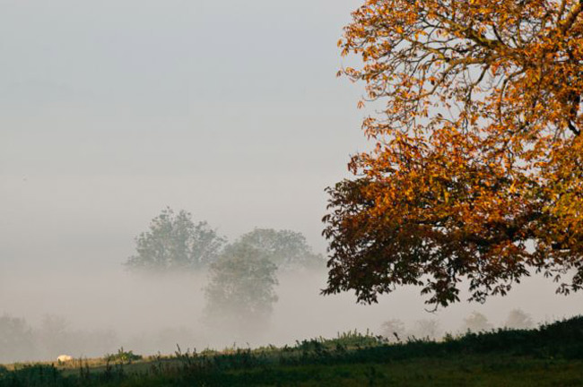 Morning mist, Little Gidding