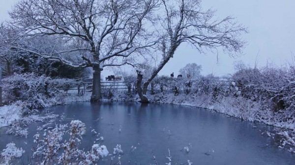 Snow in Great Gidding January 2013 - Chapel End Pond