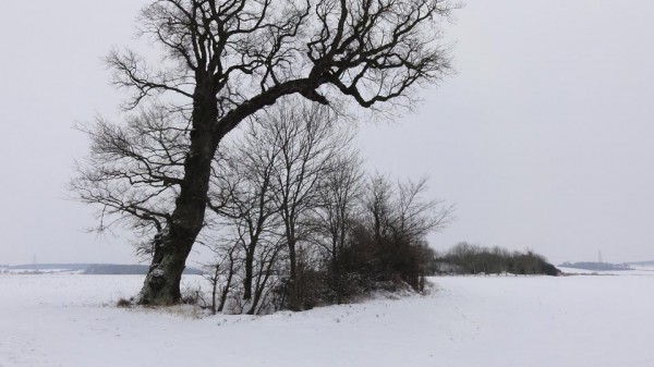 Snow in Steeple Gidding January 2013