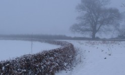 Fog and snow at Oak Tree Corner