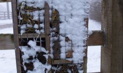 Snow on the bug box by Chapel End pond