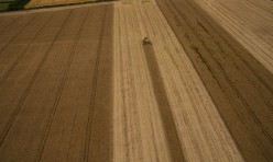 Great Gidding harvesting 2015