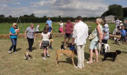 Woof! Great Gidding Dog Show 2015