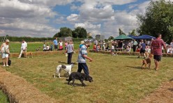 Woof! Great Gidding Dog Show 2015