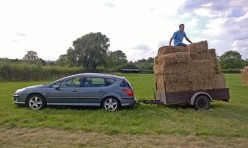 Woof! Great Gidding Dog Show 2015