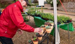 Great Gidding 'More Than A Plant Sale' 2019