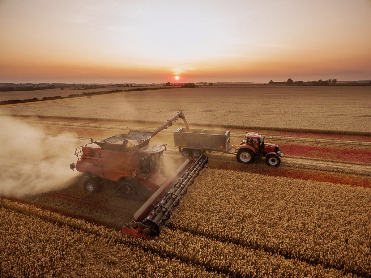 Aerial images of harvesting in Cambridgeshire for ongoing farming project.