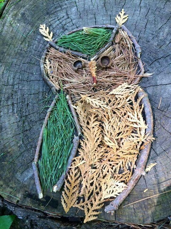 Art from Nature