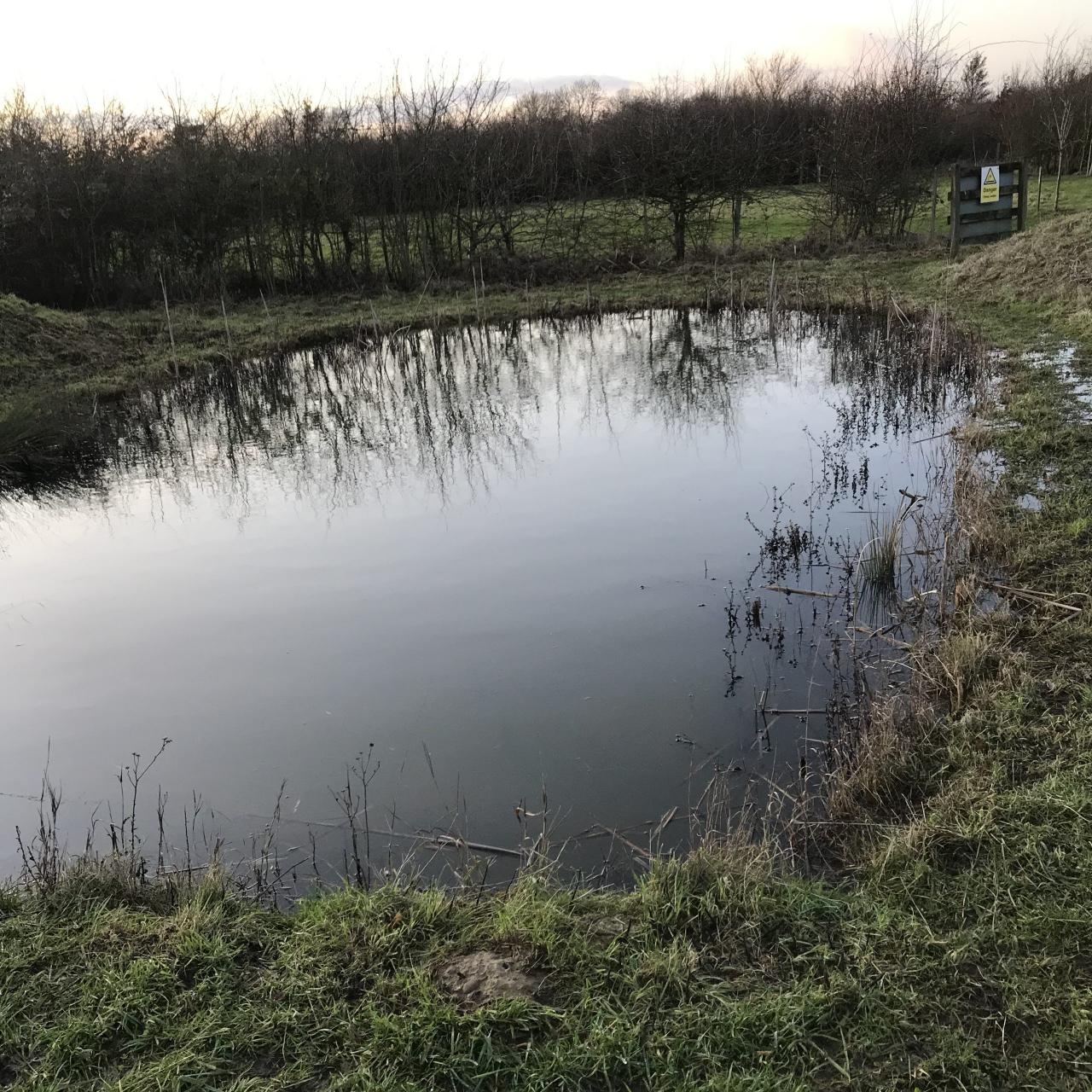 Jubilee Wood pond Dec 2019