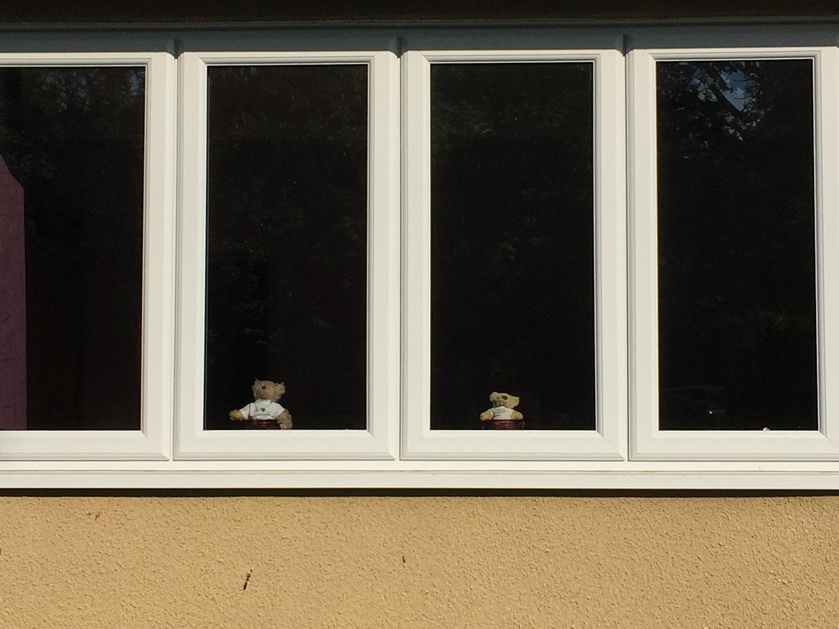 Teddies in the window on Main Street