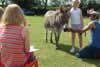Great Gidding Village Fete and Sports Day 2002 