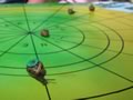 FOGGS snail race
