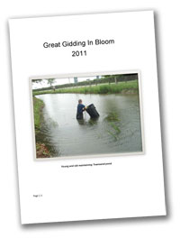 Great Gidding in Bloom 2011 portfolio