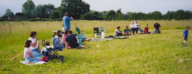 Summer Solstice Picnic in the Jubilee Wood