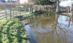 Chapel End Pond after restoration
