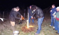 Wassail, January 2012, Great Gidding