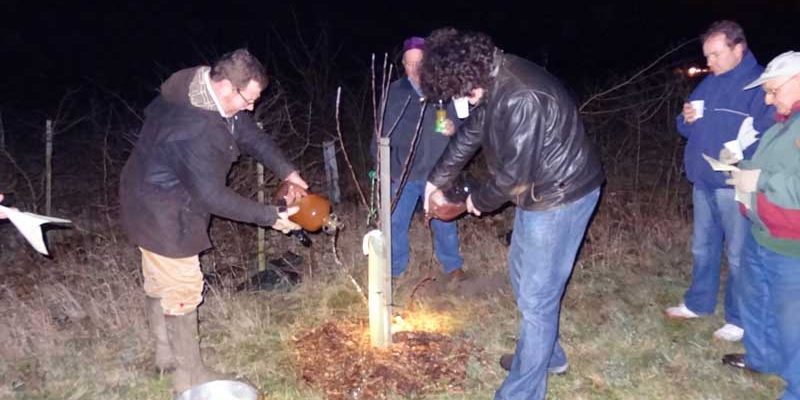 Wassail in the Jubilee Wood