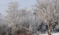 Haw frost, Great Gidding, February 2012