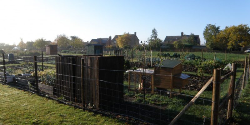 How the latest allotments were created