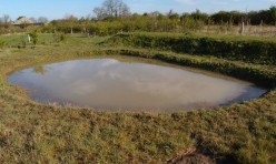 Diamond Jubilee Pond