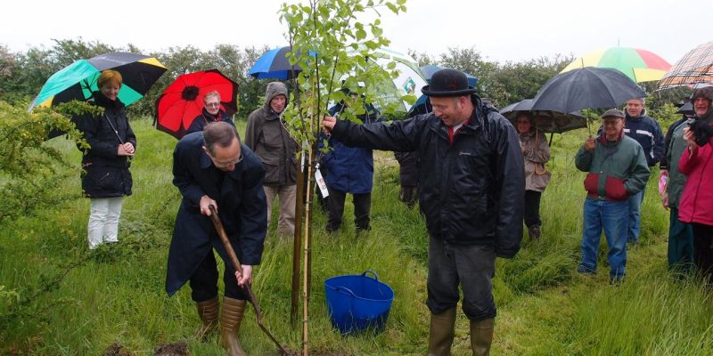 A wet Sunday in the Jubilee Wood