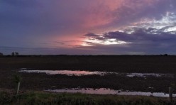 Great Gidding skyline, October 2012