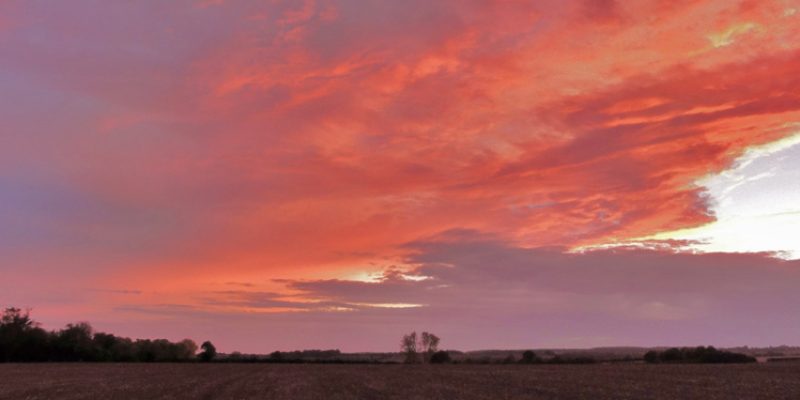 This website will be closing down on 31st March 2026