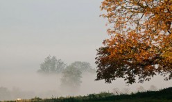 Morning mist, Little Gidding
