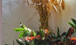 Harvest festival decorations, St Michael's Church, Great Gidding 2009