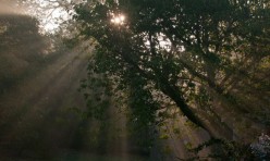 Sun and morning mist, Little Gidding