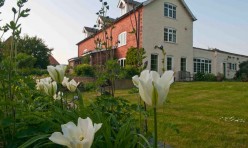 Tulips, Ferrar House, Little Gidding