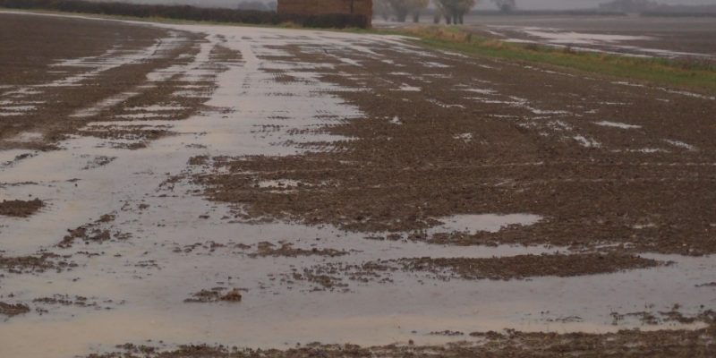 Councillor Tim Alban – District Council Report Dec ’25