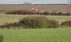 View throgh the hedge