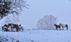 Snow in Great Gidding January 2013 - Chapel End
