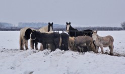 Snow in Great Gidding January 2013 - Mill Road