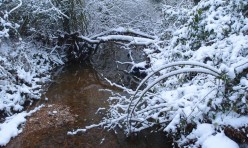 Winter over the Alconbury Brook