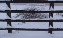 Snow pattern at Mill farm