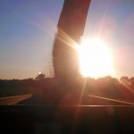 Harvest in Great Gidding