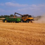 Harvest in Great Gidding