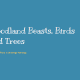 Woodland Beasts, Birds and Trees