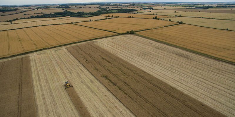 Great Gidding harvesting 2015 - video and photos