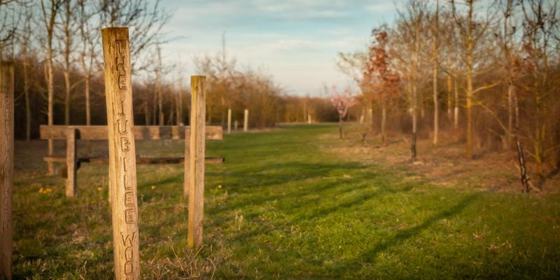 "Pop up" Jubilee Wood Knowledge Share