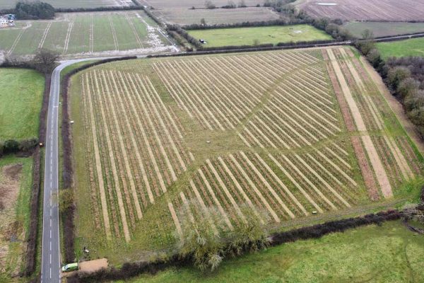 Kings Wood - aerial view looking south