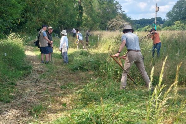 King's Wood June blog