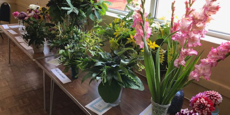 The Giddings Village Show